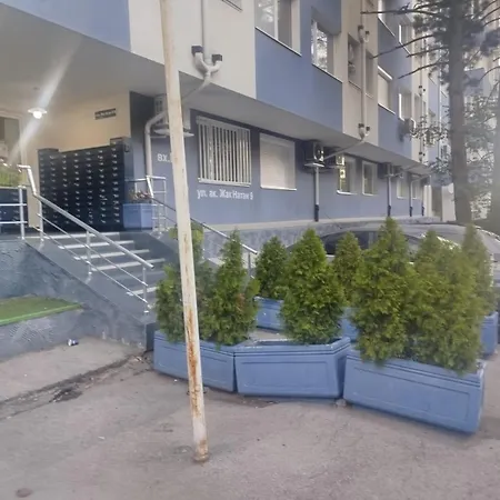 Sunny Hollow * Sofya