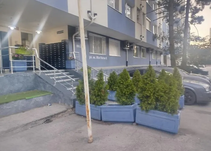 Sunny Hollow * Sofia