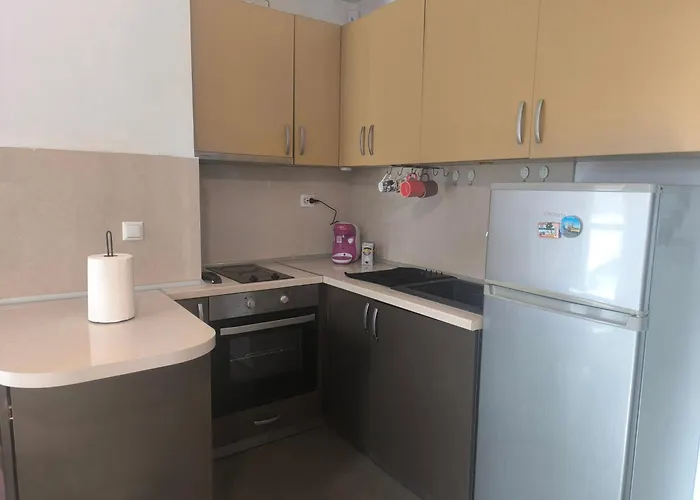 Sunny Hollow Apartment